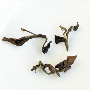 2020 Automne Oolong Beauté...
