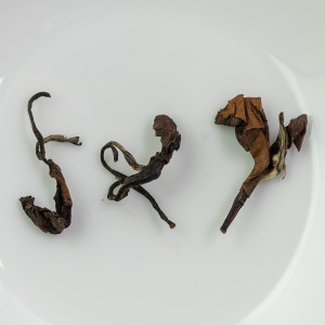 2019 Eté Oolong Beauté...