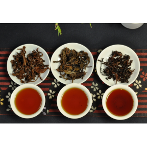 The Master samples of middle aged puerh