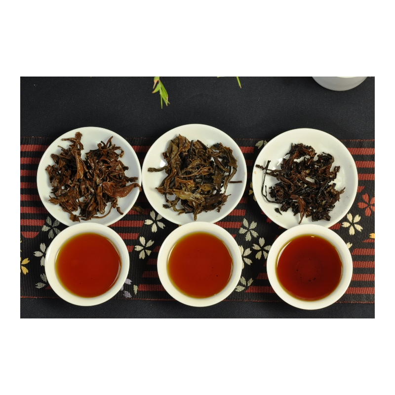 The Master samples of middle aged puerh