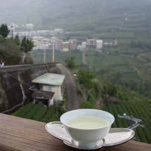 2023 Spring QingXin Oolong...