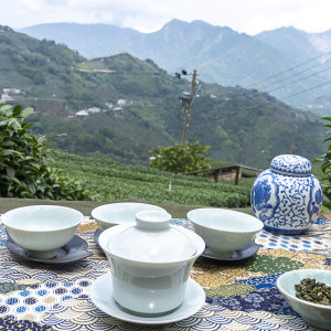 2025 Spring QingXin Oolong...