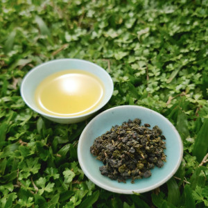 2026 Dong Pian SiJiChun...