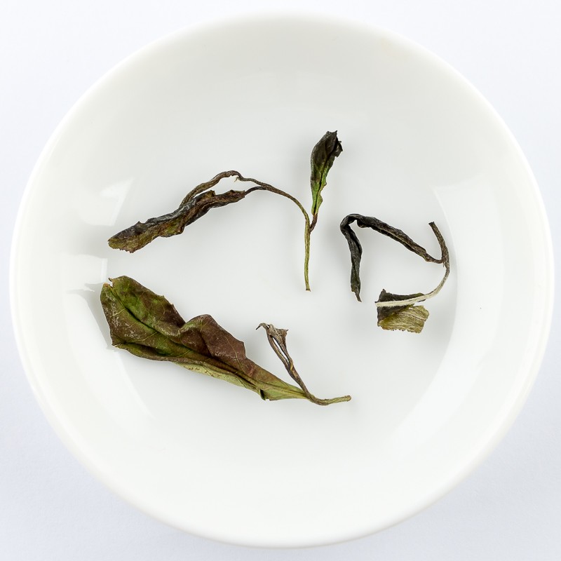 2019 Spring white tea from Anji, China weight 50 gr