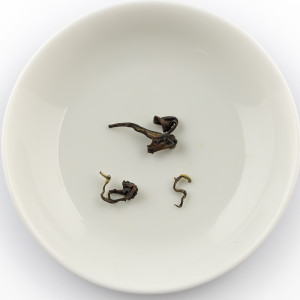 2019 Eté Oolong Beauté...