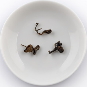 2019 Automne Oolong Beauté...